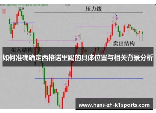 如何准确确定西格诺里踢的具体位置与相关背景分析