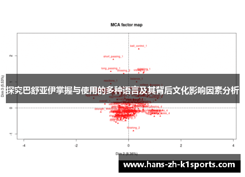 探究巴舒亚伊掌握与使用的多种语言及其背后文化影响因素分析