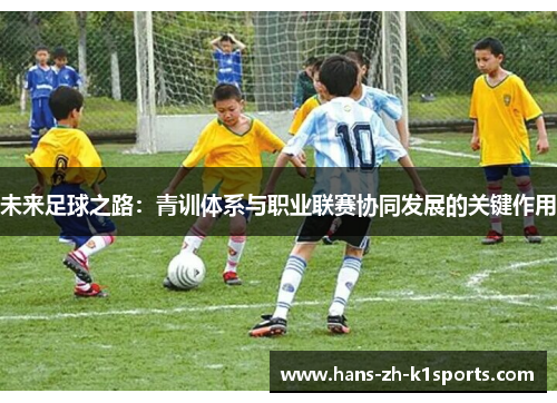 未来足球之路：青训体系与职业联赛协同发展的关键作用